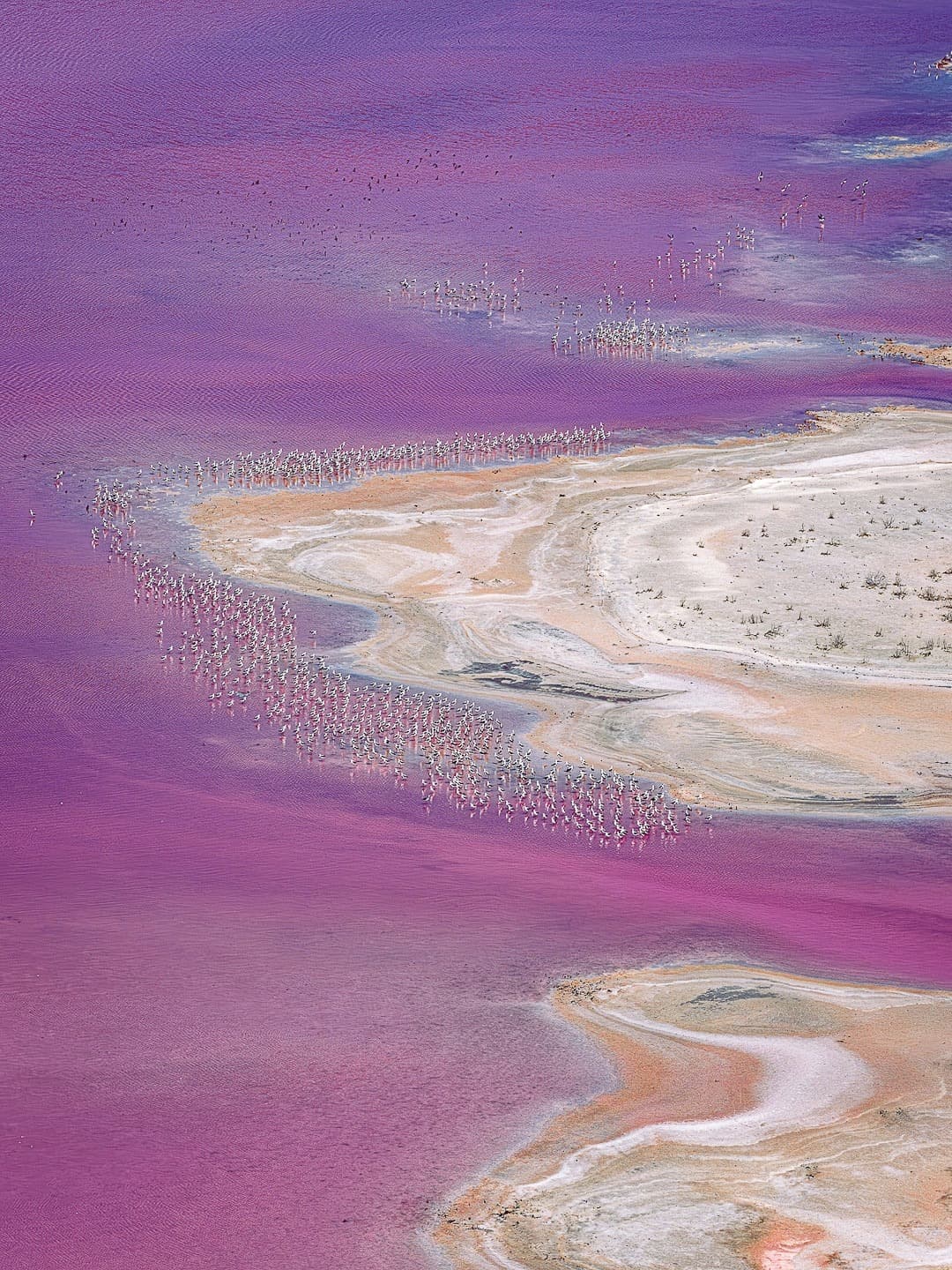 Dok. Western Australia