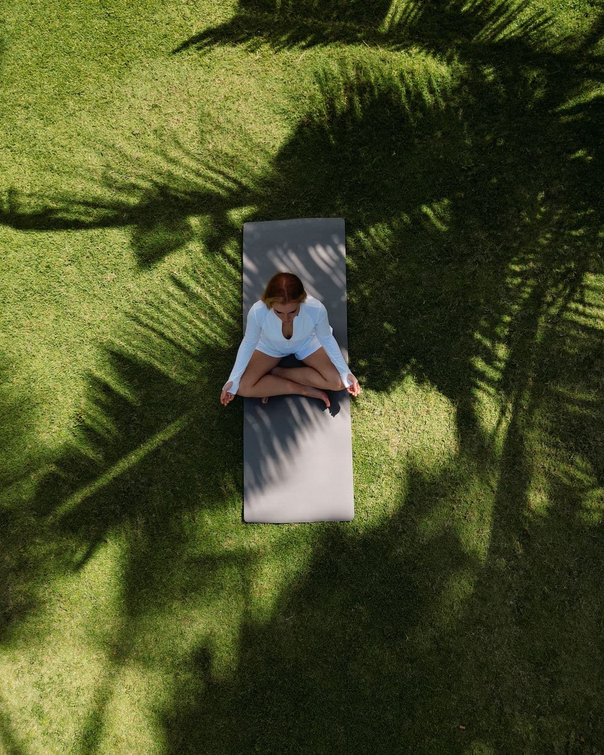 Wellness